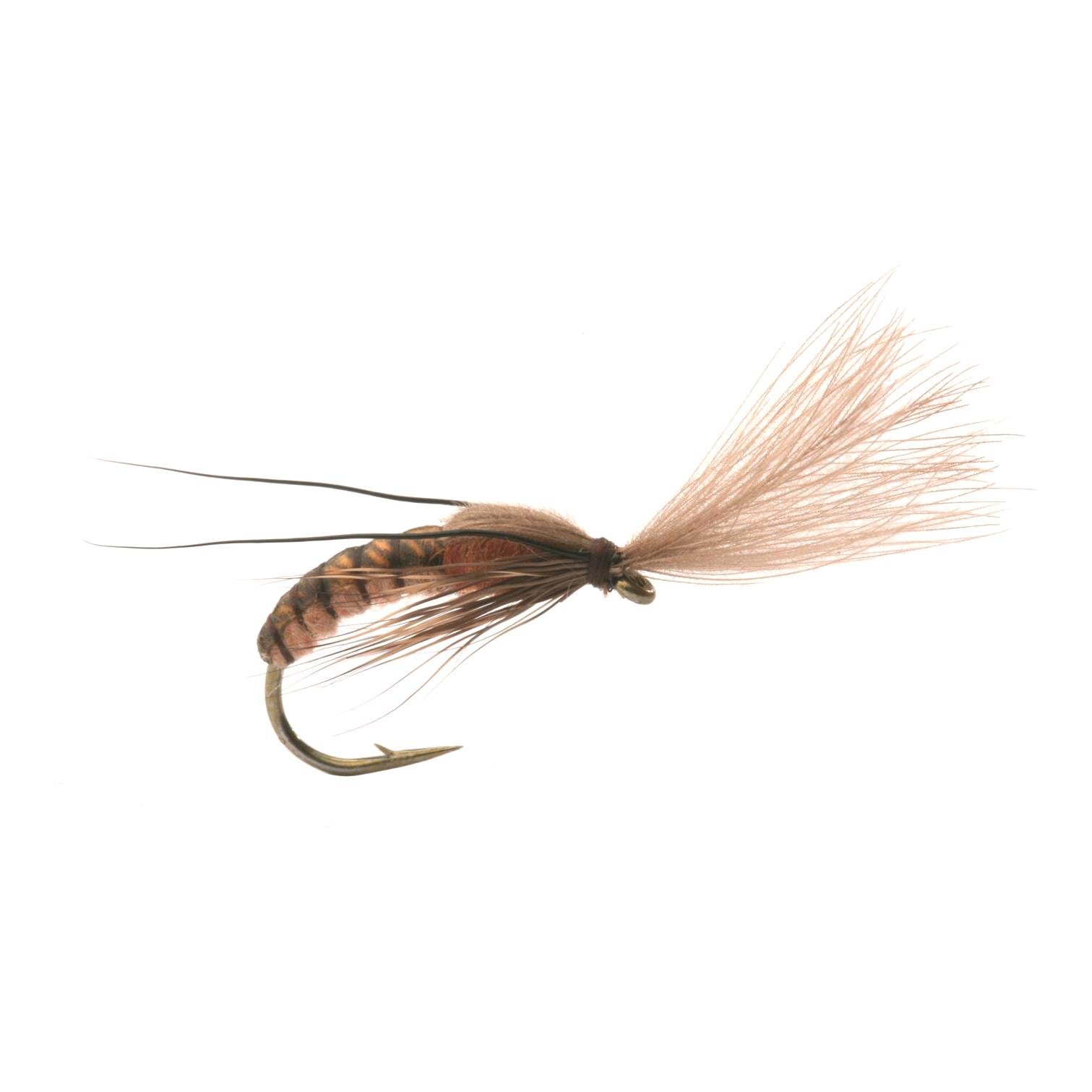 Super Emerging Caddis Cinnamon - Mouche sèche