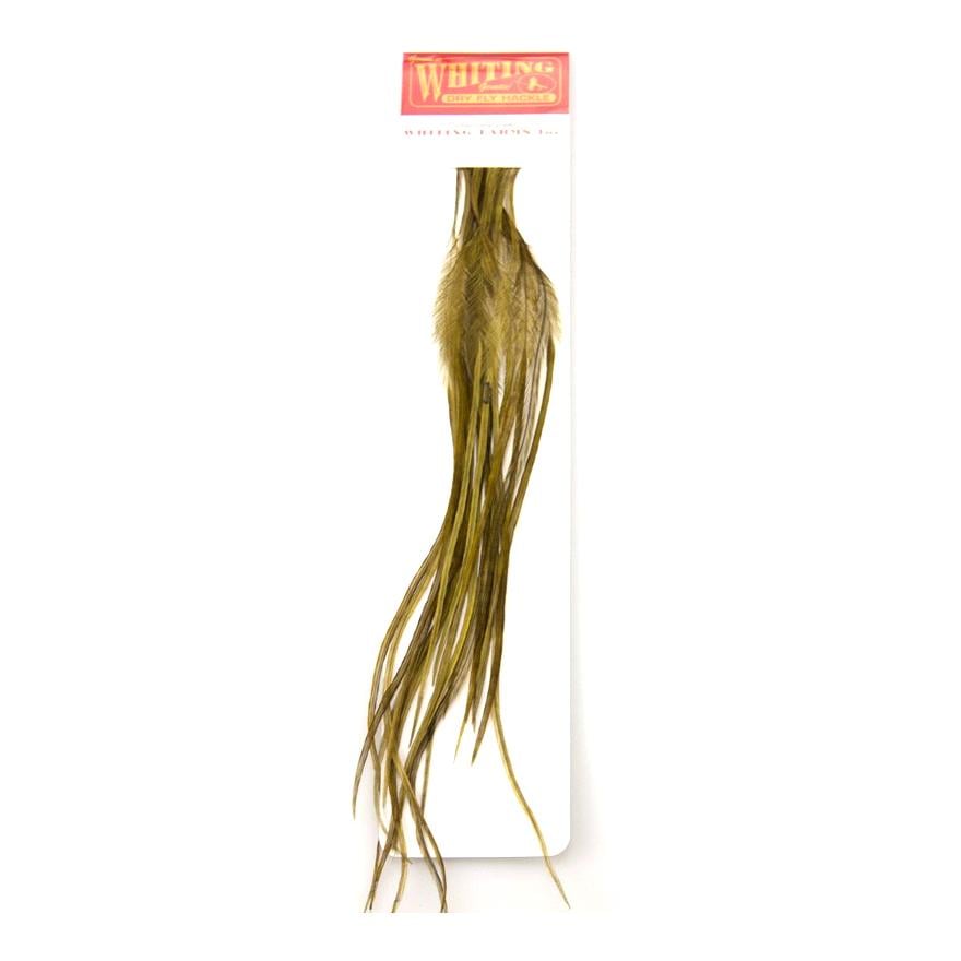 Image of Whiting 100's Hackle Pack - Olive - Sattel bei fischen.ch