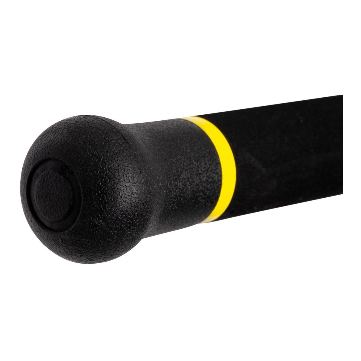 Black Cat Freestyle Pro Spin 2,70 m – Wels‑Spinnrute mit X-Solid Technology