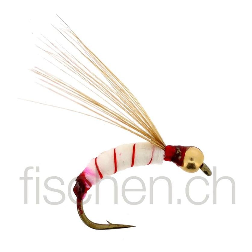 Goldkopfnymphe 1 - Nymphe