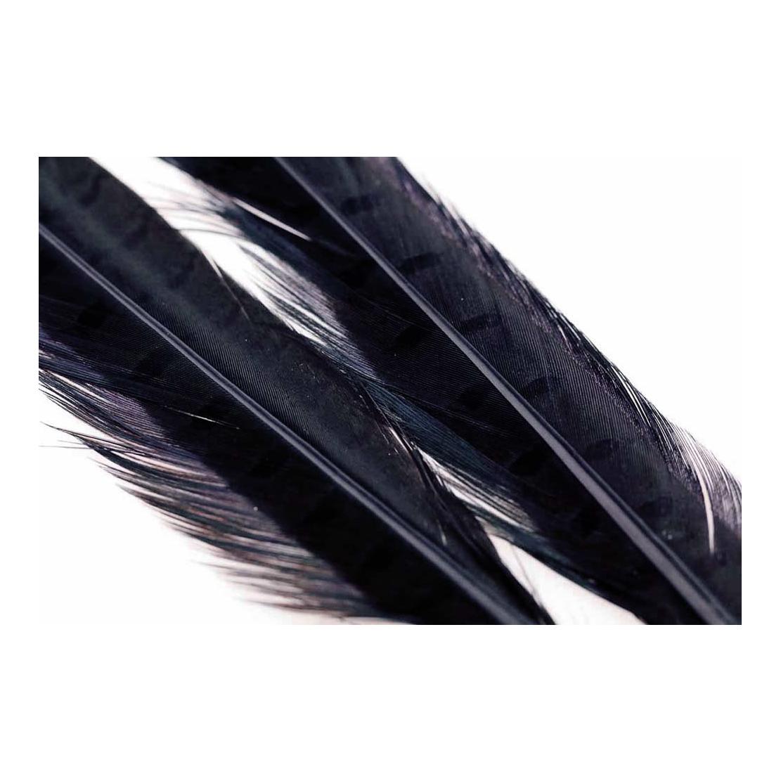 Image of Wapsi Ringneck Pheasant Tail Feathers Black - Fasan bei fischen.ch