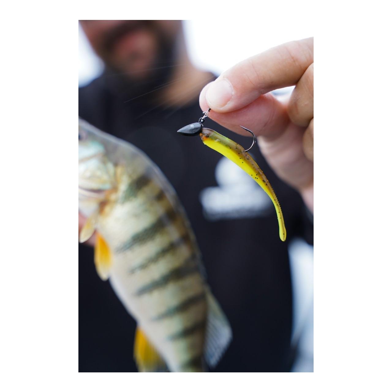 Pintius - Gummiköder