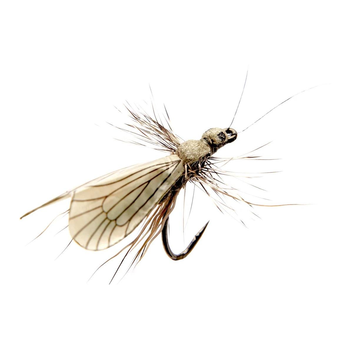 Caddis Adult - Trockenfliege